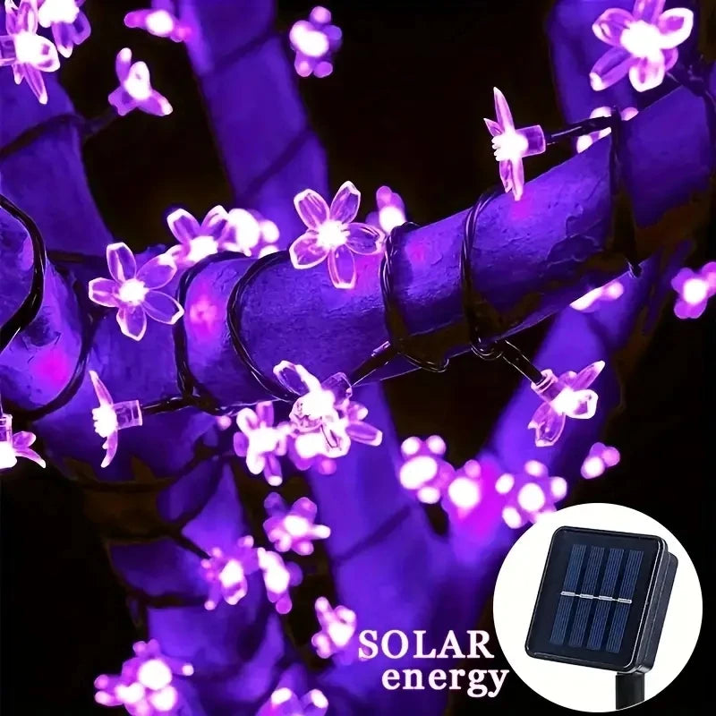 Solar Cherry Blossom Glow