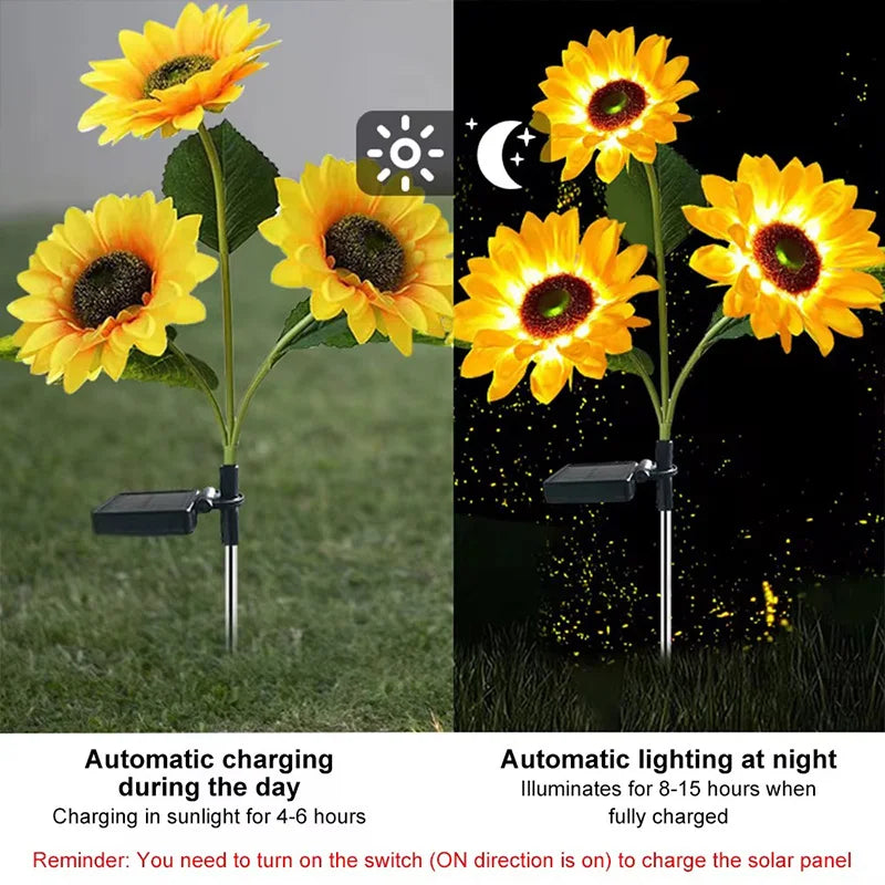 Solar Sunflower Spots