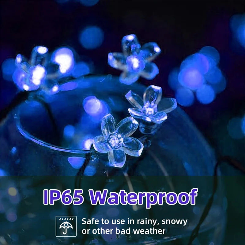 Solar Cherry Blossom Glow