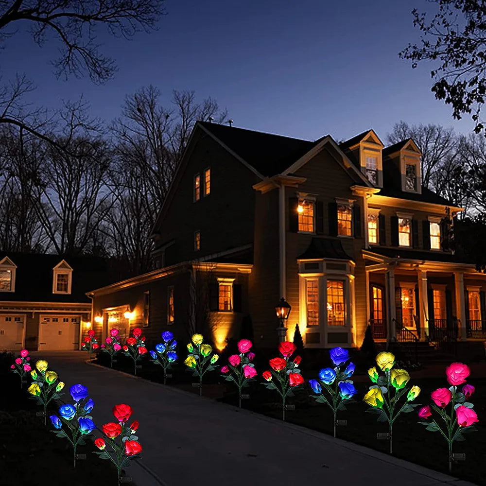 Luminous Rose Lights