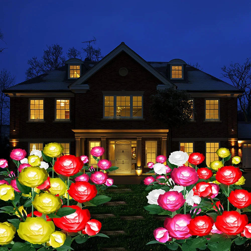 Luminous Rose Lights