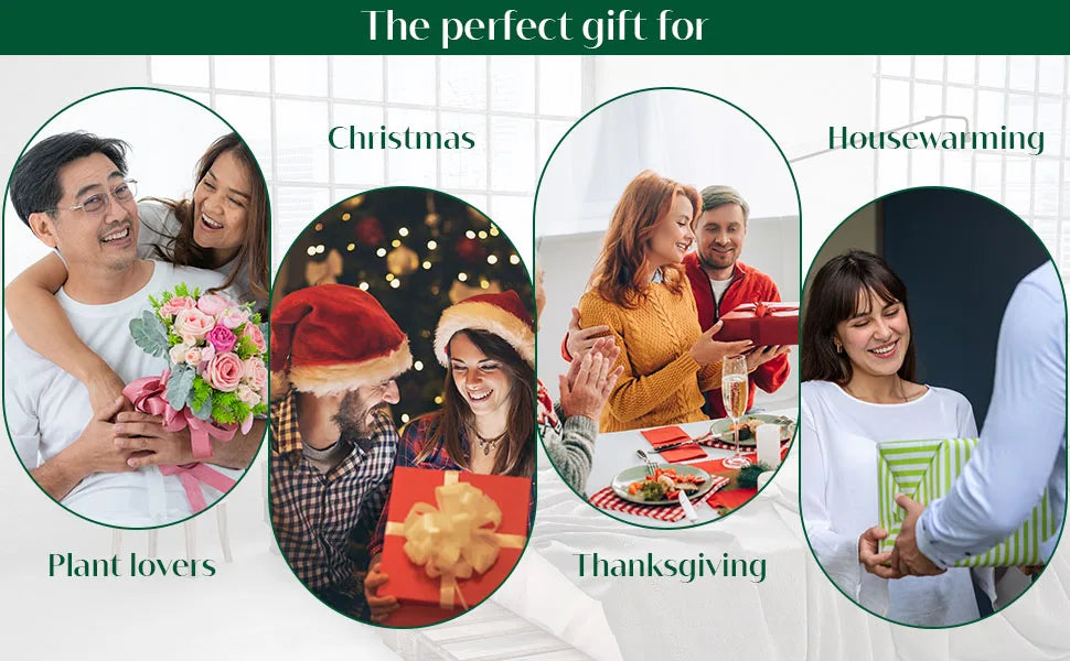 The Cozy Burrito Wrap