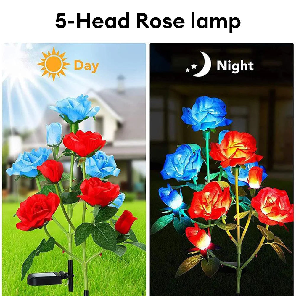 Luminous Rose Lights