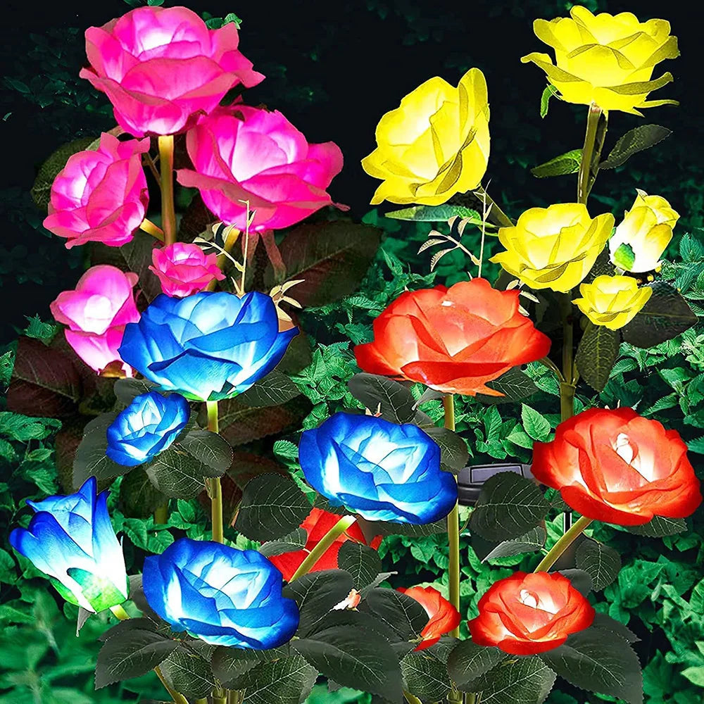 Luminous Rose Lights