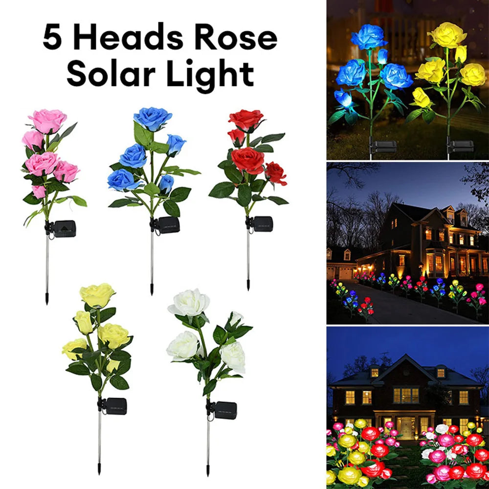 Luminous Rose Lights