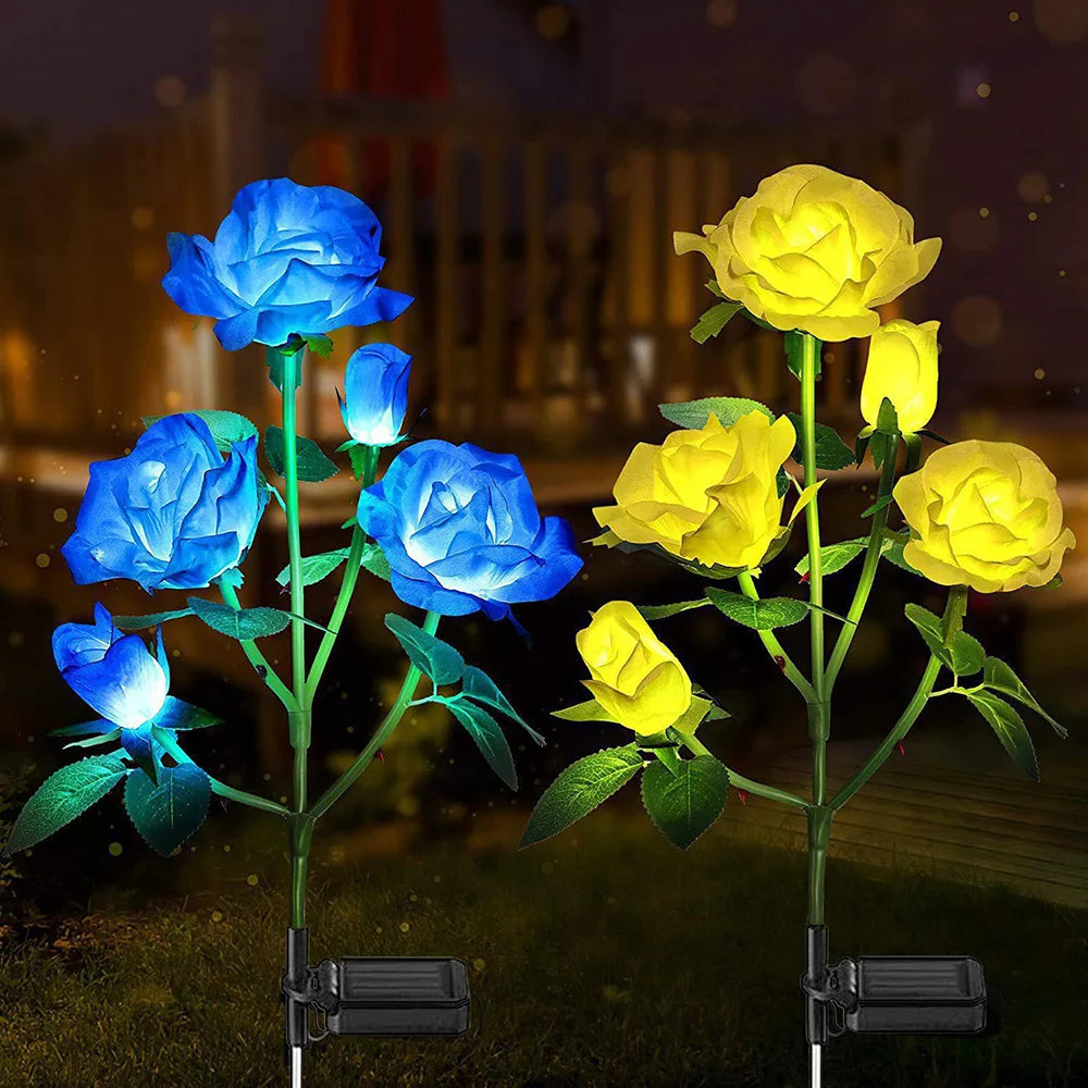 Luminous Rose Lights